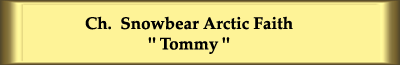 Ch. Snowbear Arctic Faith
