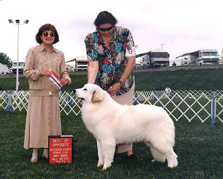 Snowbear Sweet Faith