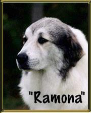 "Ramona"