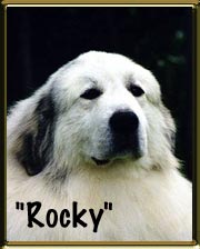 "Rocky"