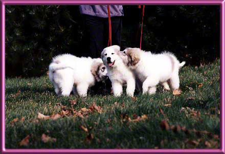 It's not all work!
